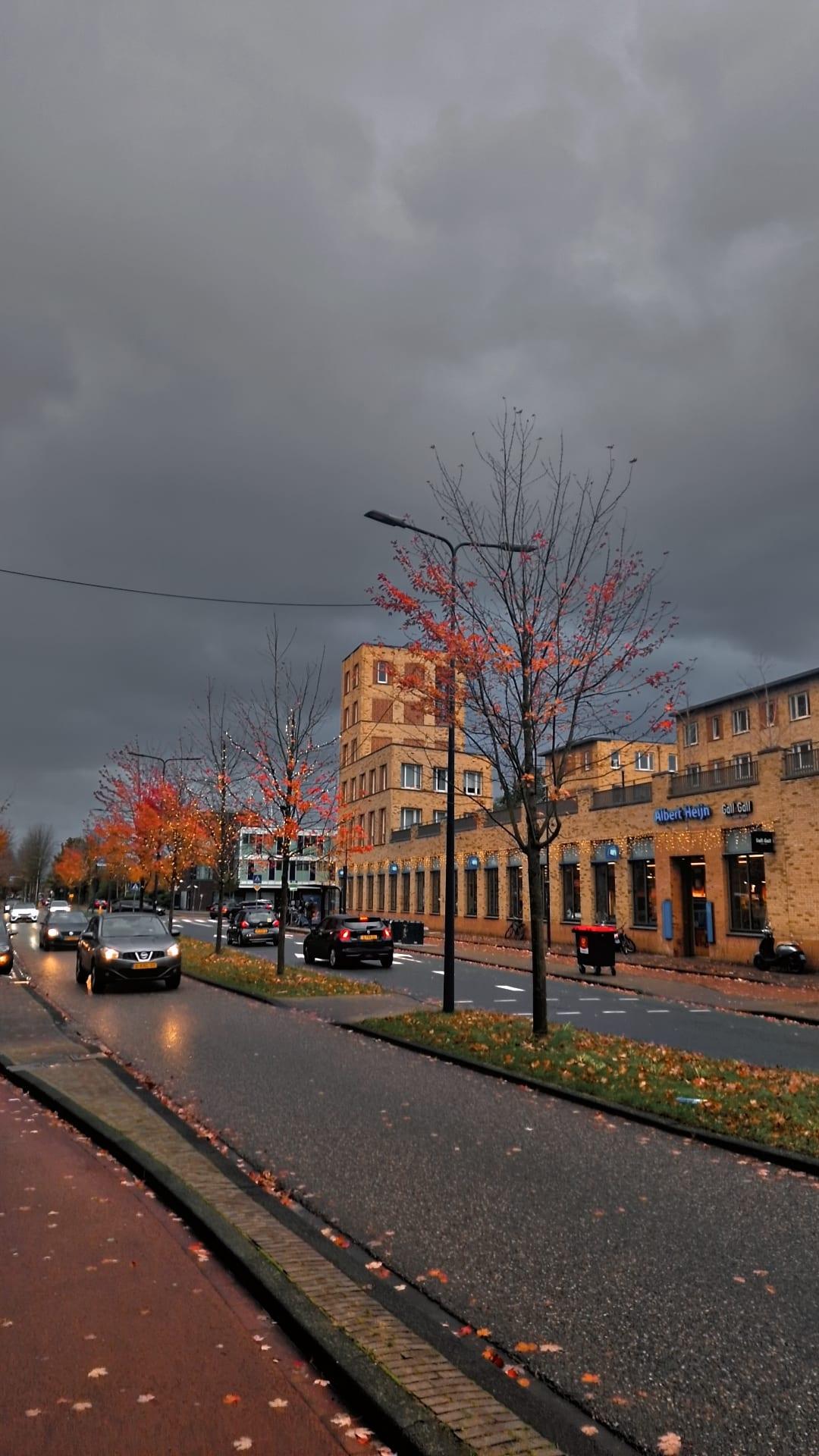 A city avenue at dusk, headlights reflecting off the wet road and red autumn trees under a dark grey sky