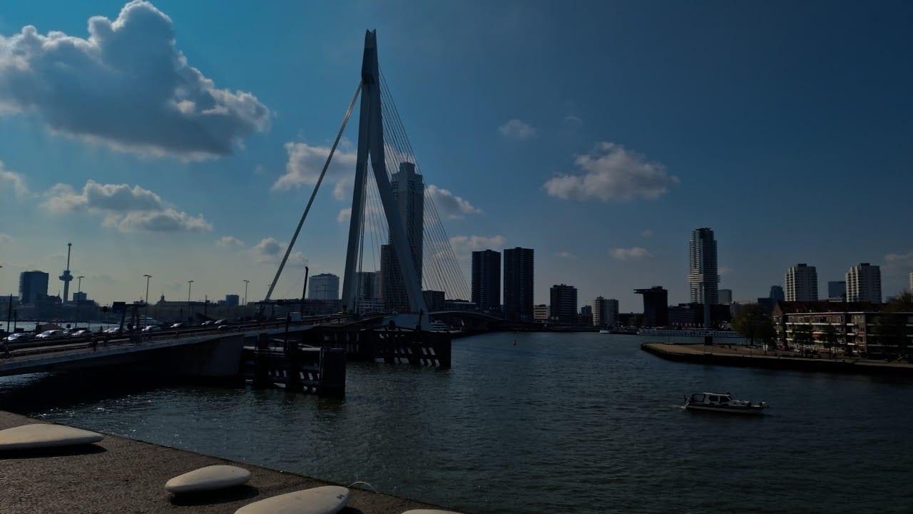 A white cable-stayed bridge reaching across a wide river towards a skyline of towers on a bright day
