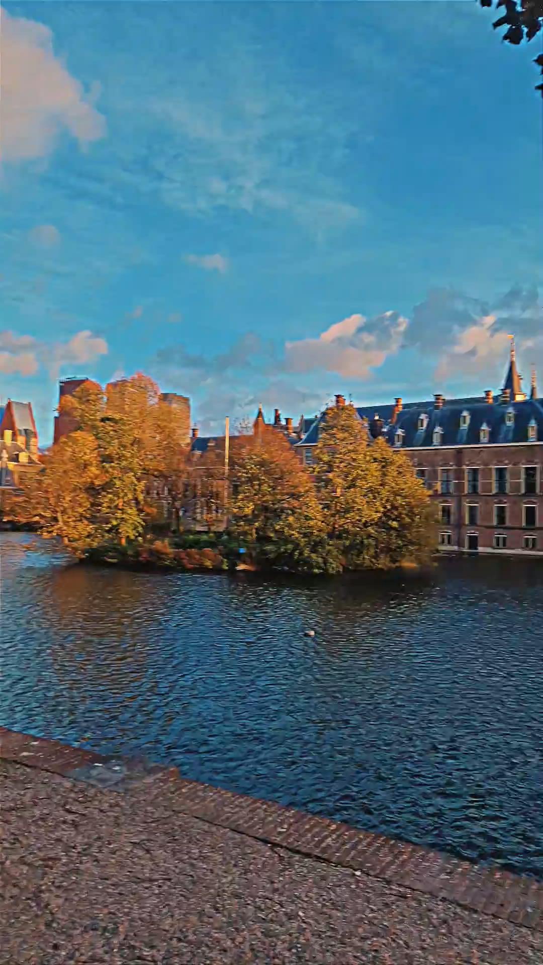 A city lake in late afternoon light, autumn trees on an island mid-water and a steep-roofed historic building along the far bank